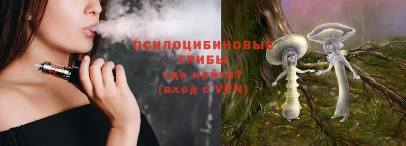 Галлюциногенные грибы Psilocybe  omg сайт  Тайга  где найти  